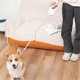 thumbnail image 4 of 3 Meters LED Flashlight Pet Leash Retractable Lighted Night Outdoor Walking Non-Slip Handle Supplies,C, 4 of 5
