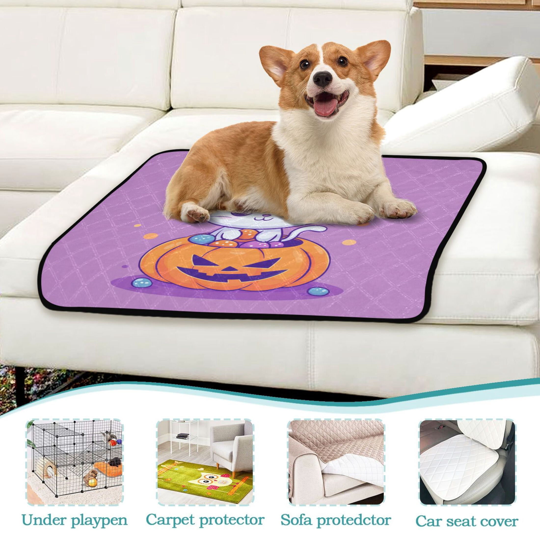Qxltty A Cute Cat Sitting on Top Of Pumpkin Cat litter Pads Pet Set of 3 Diaper Mats Center Anti-leakage Layer Absorbent Soft and Comfortable