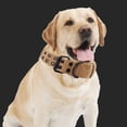 thumbnail image 3 of Collar para perros con asa, collar táctico para razas pequeñas, medianas y grandes., 3 of 5