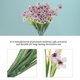 thumbnail image 4 of BRIGHTFUFU 6Ud Ramo Simulado De Violetas Ideal Para Decorar Bodas Y Ambientes En Casa, 4 of 5
