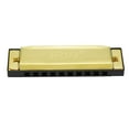 thumbnail image 4 of Armónica diatónica profesional Yuyangstore de 10 agujeros dorada con estuche y paño de limpieza, 4 of 8