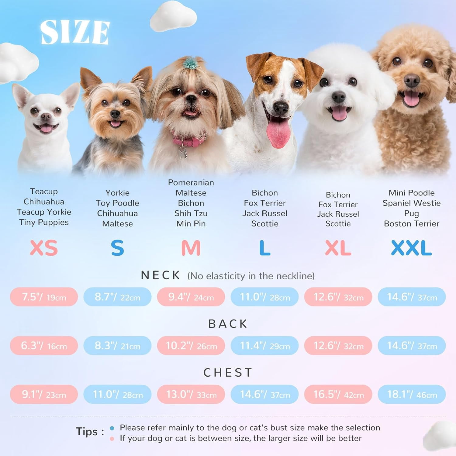 Floral Dog & Cat Dress with Tutu Skirt - Breathable Stretch Pet Clothes for Small Dogs Girl Cats & Puppies Birthday Party Outfit (Blue,Medium)
