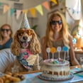 thumbnail image 5 of Dog Bandana 2 Pack,Pioneer Flower Floral Print Pattern Bandanas for Dogs,Cat Bandana,Small/ Large Dog Bandana 2 Size,Dog Bandanas, 5 of 6