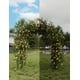 thumbnail image 2 of Garvee Enrejado de Arco de Jardín para Plantas Trepadoras, Arbor Arqueados de Metal, 3,77 X 4,92 X 7,28 Pies, Negro, 2 of 5