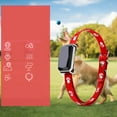 The Hidden Fees Of A Petco Credit Card: What To Watch Out For - t4gv9wg
