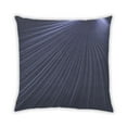 thumbnail image 1 of Ahgly Company Indoor Square Contemporary Throw Pillow, 18 inch by 18 inch, 1 of 5