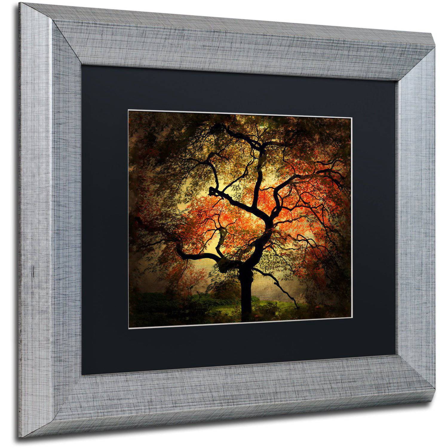 Trademark Fine Art "Japanese" Canvas Art by Philippe Sainte-Laudy Black Matte, Silver Frame