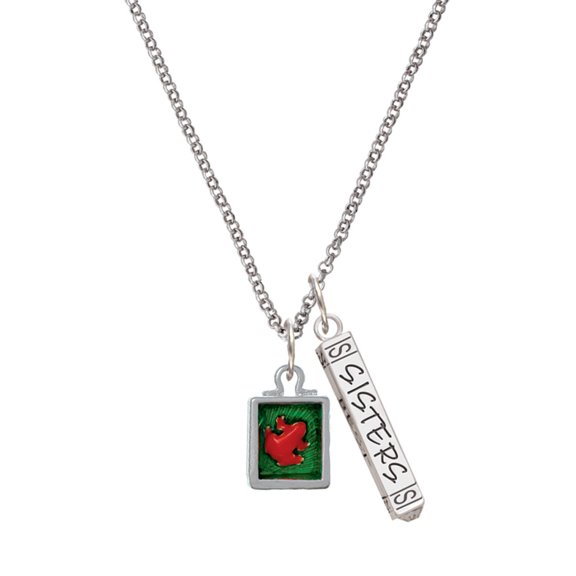 Delight Jewelry Silvertone Red Tree Frog in Shadow Box Silvertone Sisters Best Friends Forever Bar Charm Necklace, 23"