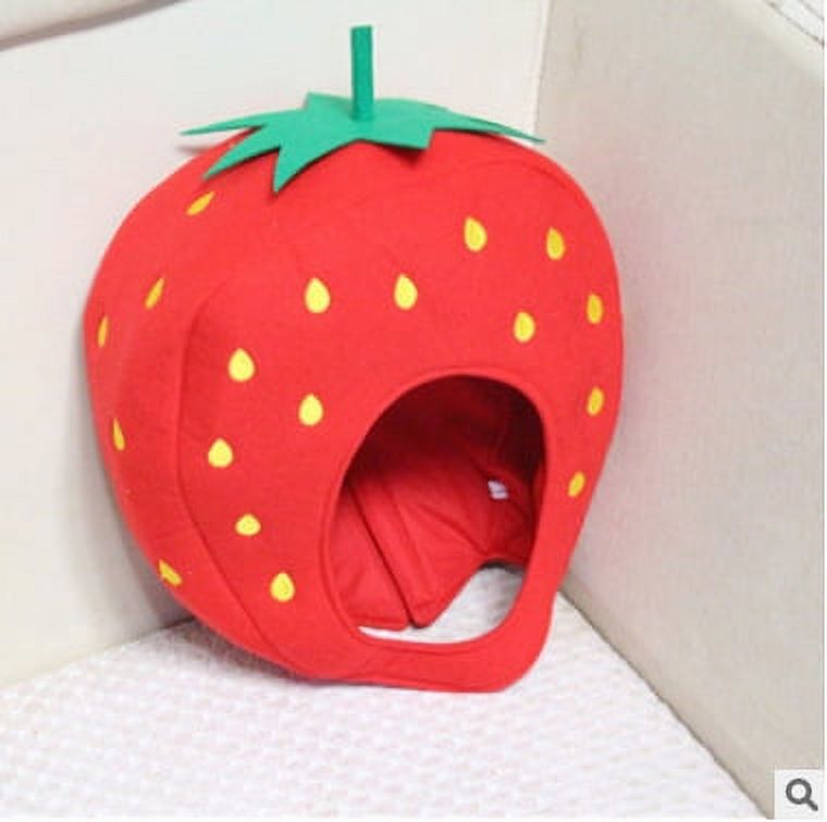 Citrouille Avec Chapeau De Sorcière Clipart Halloween Dessin Animé