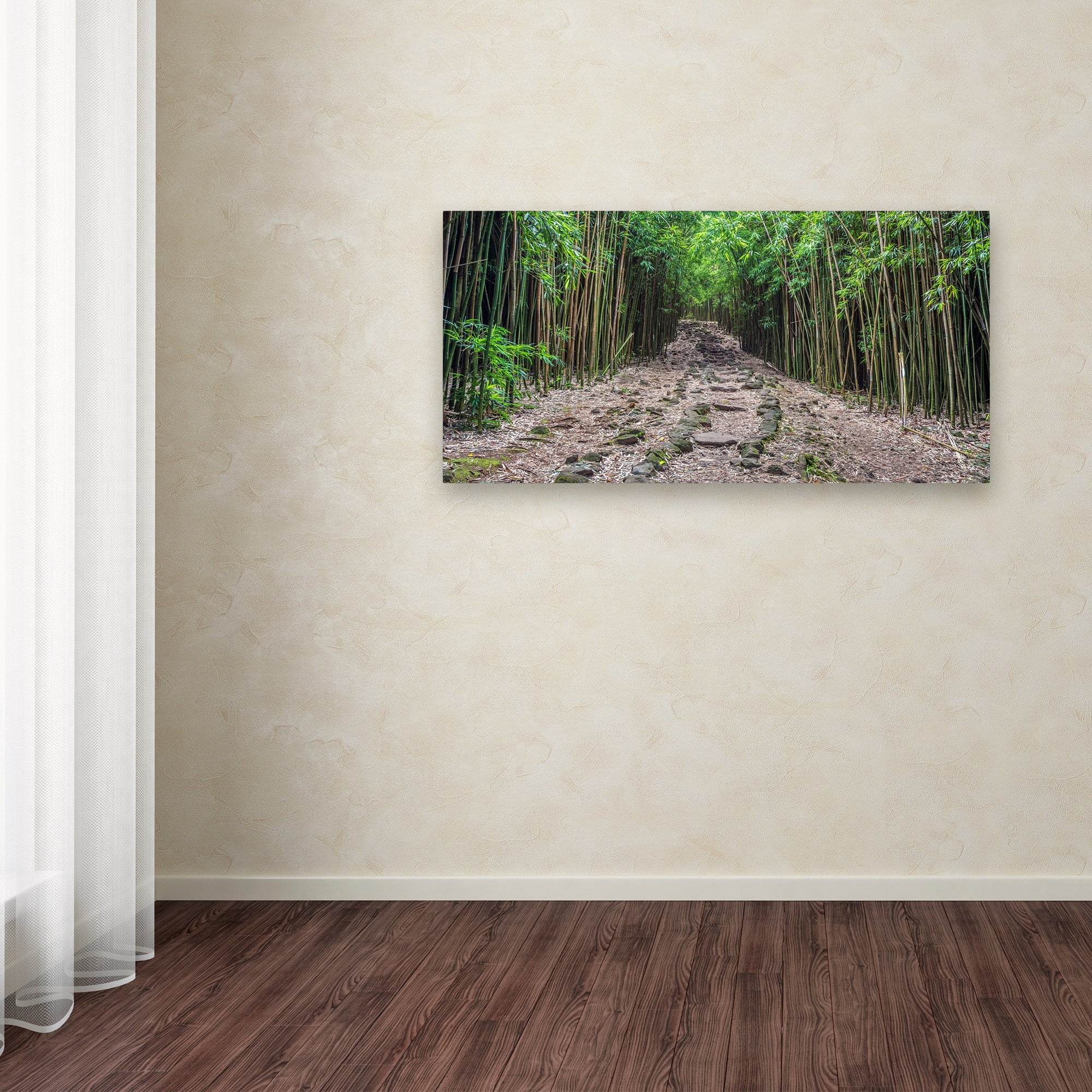 Trademark Fine Art 'Maui Bamboo Forest' Canvas Art by Pierre Leclerc