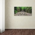 thumbnail image 4 of Trademark Fine Art 'Maui Bamboo Forest' Canvas Art by Pierre Leclerc, 4 of 4