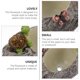 thumbnail image 3 of WASHWEPE 1Ud Maceta De Resina Para Plantas Suculentas Con Para Escritorio, 3 of 6