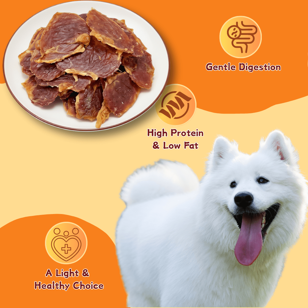 Tender Touch All-Natural Chicken Gizzard Dog Treats, Wholesome Single Ingredient and Grain-Free Chews for a Healthy Diet,14.11 Ounce
