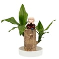 thumbnail image 4 of Lucky Brazilian wood desktop ornament, with base and mystery doll, unique home and office decorative item, modern desktop ornament (yellow)., 4 of 10