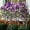 A, variant on Dongrere 1 Pc Artificial Purple & White Petunia Hanging Flowers Fake Flowers with Leaves for Indoor Outdoor Decor, 29.5 Inch