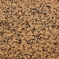 thumbnail image 1 of Ahgly Company Machine Washable Indoor Square Transitional Red Brown Area Rugs, 5' Square, 1 of 7