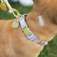thumbnail image 3 of Packed Party Grid Fashion Dog Collar, Gold, S, 3 of 8