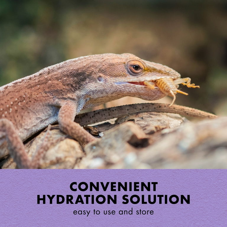 Zilla Cricket Drink with Calcium With Calcium 16 fluid ounces