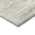 thumbnail image 6 of Dalyn Rugs Machine Washable Indoor/Outdoor Chantille ACN2083 Silver 1'8" x 2'6" Rug, 6 of 7