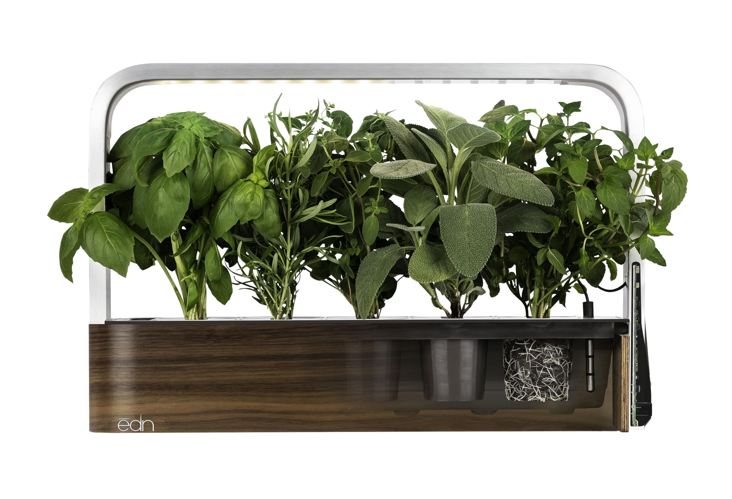 edn SmallGarden Thai Basil Variety SeedPods - 10 Pack