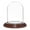 Walnut Veneer Base, variant on Plymor 2.5" x 3.5" Small Glass Display Dome Cloche (Walnut Veneer Base)