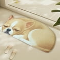 thumbnail image 6 of Hgallory Cute Dog Polyester Shower Bath Rug for Home Bathroom Toilet, Non-Slip Household Water Absorbent Quick Drying Floor Mats for Entrance Bedroom, Modern Home Decor, 1PC, 16"x34", A, 6 of 6