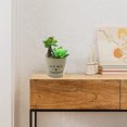 thumbnail image 5 of Se utiliza para decorar su hogar u oficina: plantas en macetas suculentas artificiales realistas, 5 of 5