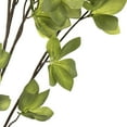 thumbnail image 4 of Vickerman 46" Artificial Green Castor Bean Leaf Spray. Includes 3 sprays per pack., 4 of 6