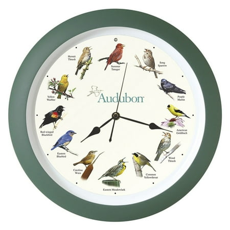 Mark Feldstein Audubon Singing Wall Clock