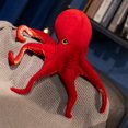 thumbnail image 4 of Pulpo de peluche realista de 40 cm y 75 cm, juguete de peluche de simulación de animales marinos, muñecos de pulpo rojo y juguetes de peluche para regalo de niños, 4 of 4