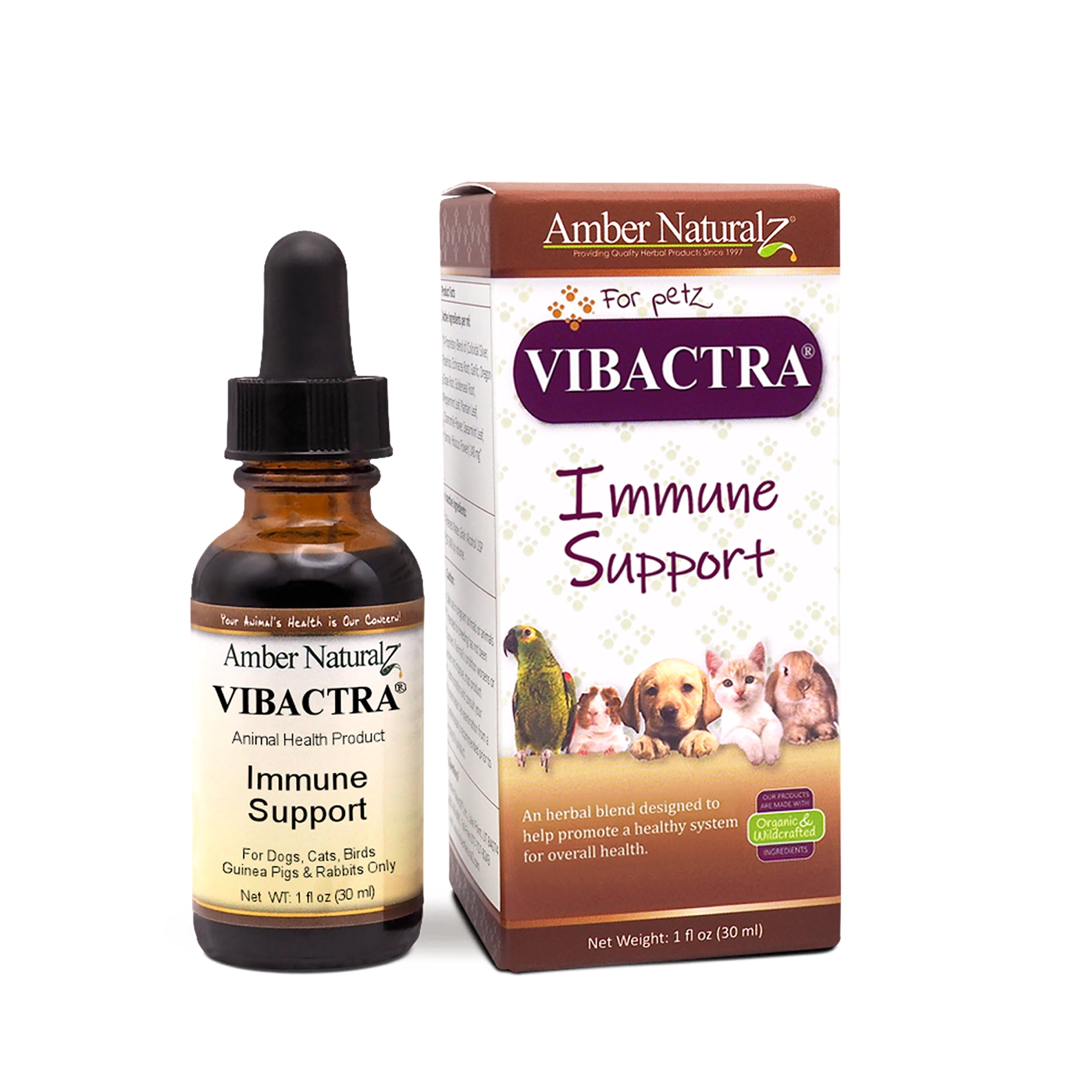 Amber NaturalZ Paxaid Digestive Rescue for Dogs & Puppies | 1oz