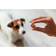 thumbnail image 2 of Desparasitante Nexgard Spectra 30-60kg Pack 12pz Para Perros, 2 of 4