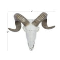thumbnail image 3 of DecMode White Polystone Skull Sheep Wall Decor, 3 of 10