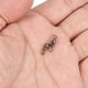 thumbnail image 5 of Giratorio de Carrete de Pesca, 30 Piezas 33lb Accesorios de Terminal de Acero al Carbono, Negro, 5 of 6