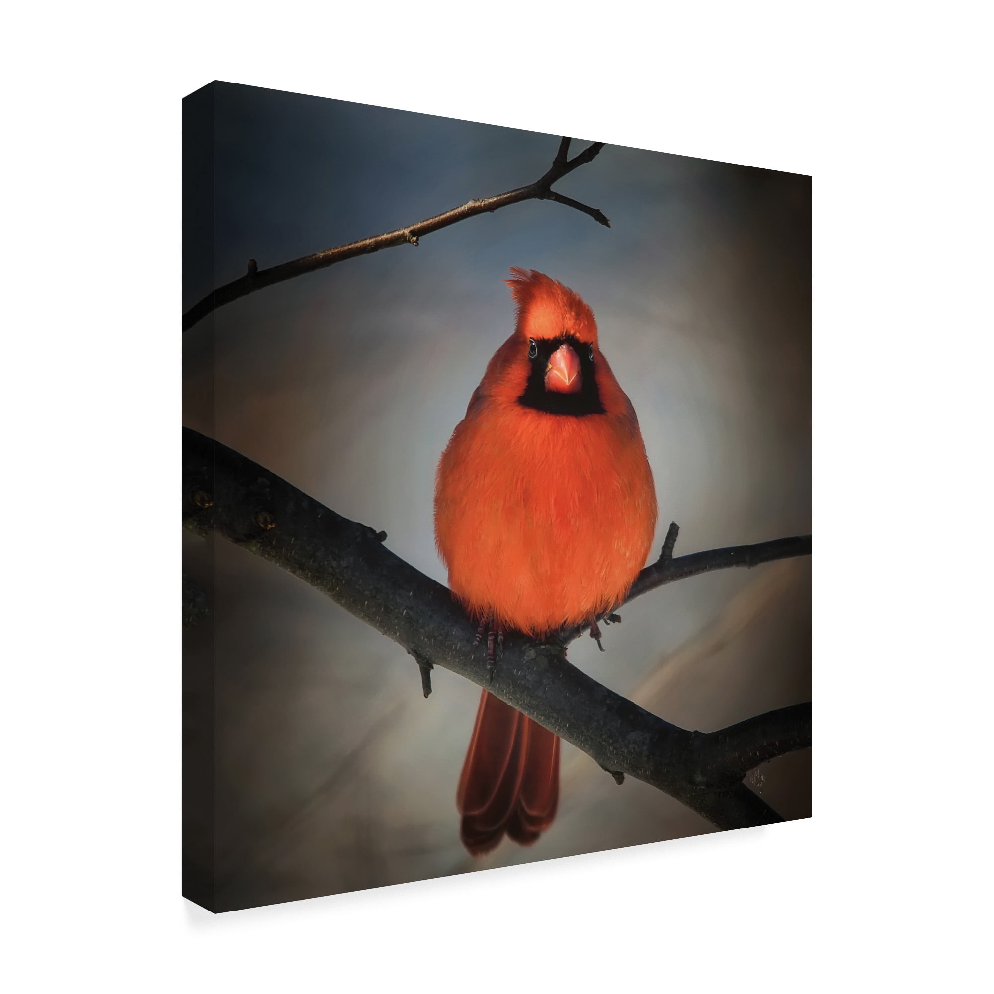 Trademark Fine Art 'Cardinal on a Blustery Day' Canvas Art by Lois Bryan