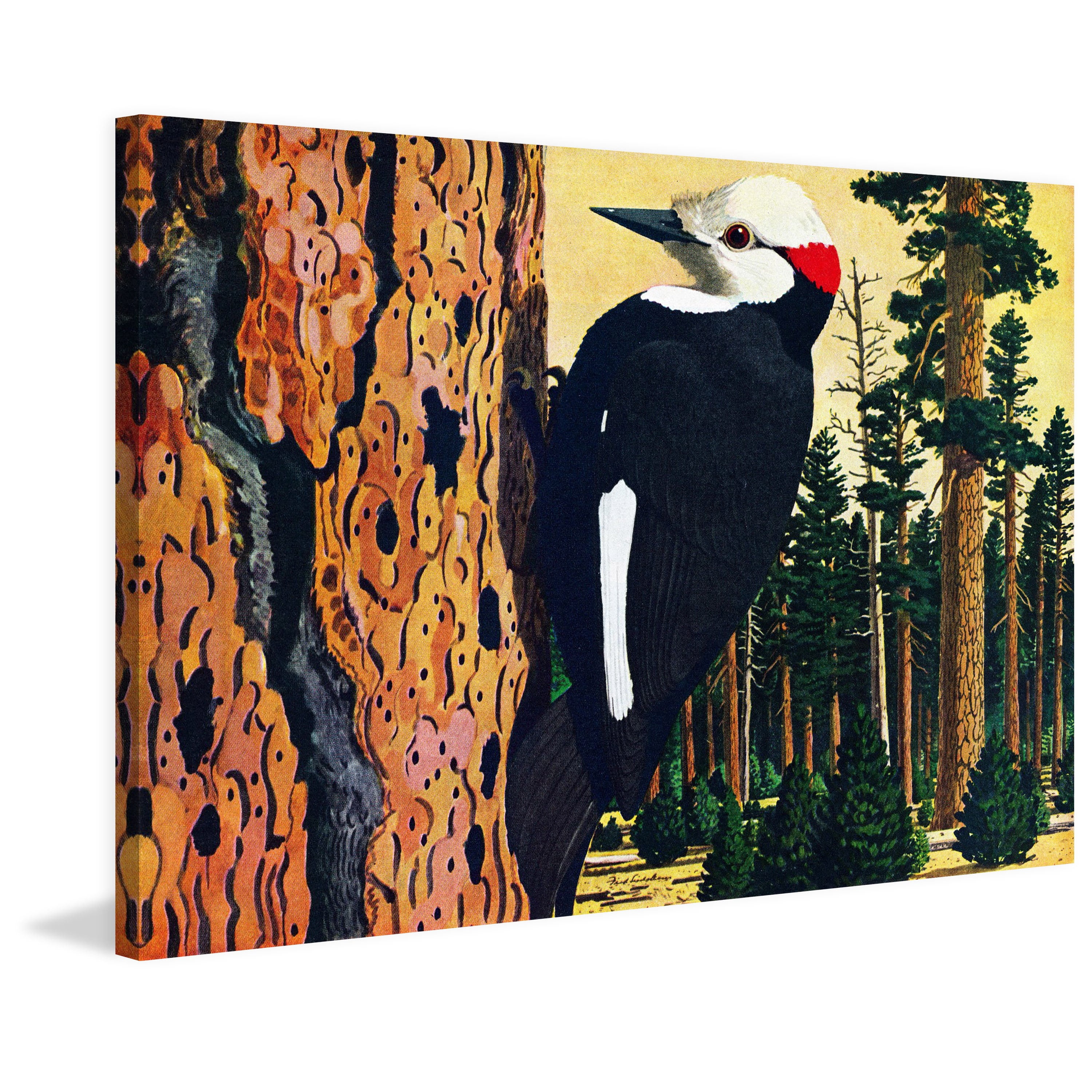 "Woodpecker" Painting Print on Wrapped Canvas
