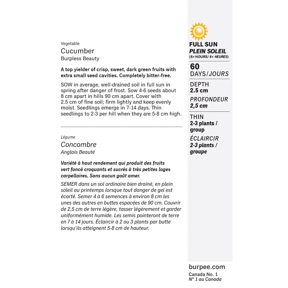 Burpee Burpless Beauté Concombre, Burpless