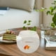 thumbnail image 4 of Pecera irrompible, pecera transparente, pecera de escritorio, globo, pecera, decoración del hogar, 4 of 6