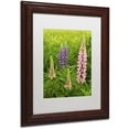 thumbnail image 2 of Trademark Fine Art "Lupine Family" Canvas Art by Michael Blanchette Photography White Matte, Wood Frame, 2 of 4
