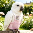 thumbnail image 4 of Reusable Bird Diaper for Parrot, Pigeon Waste Catcher Wrap with Adjustable Fit, Avian Hygiene Suit for Indoor Use, Party Costume Photo Prop, 4 of 4