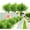 D, variant on 8-Piece Premium Artificial Grass Autumn Colors Bouquet for Office, Bathroom, Bedroom