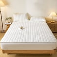thumbnail image 1 of Ice Silk Summer Mattress Protector - Quilted Waterproof Bed Cover Set, Comfortable Nylon Spandex Topper for All Mattresses, Beige, JKODE, 1 of 6
