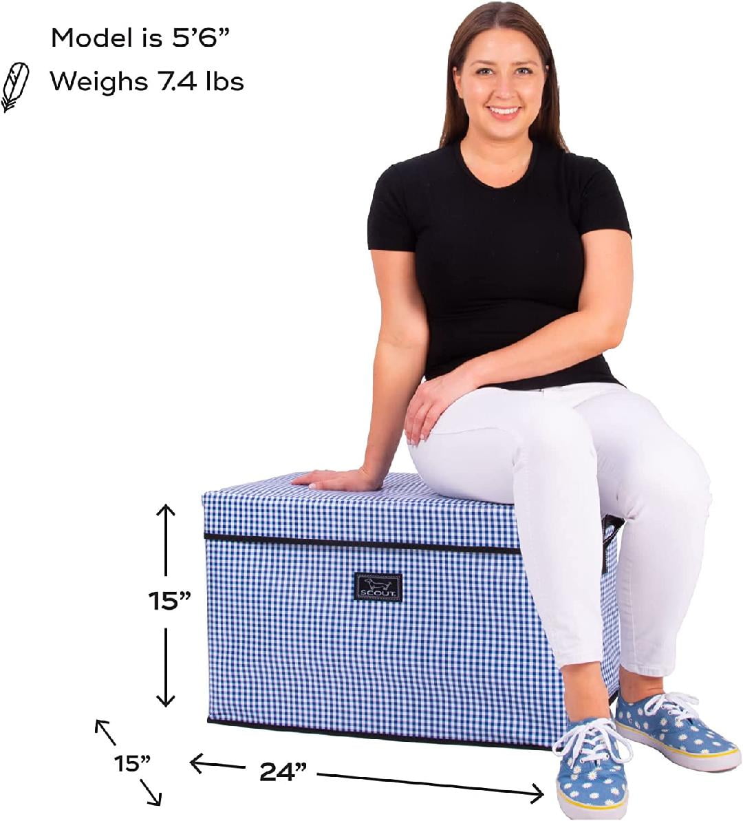 Rump Roost LG Large Lidded Storage Bin with Handles, Collapsible