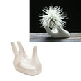 thumbnail image 2 of SIEYIO 3Pcs Air Plant Holder Ceramics Airplants Holder Small Container Pots Hand Shape Office Desk Base Airplants Display Container, 2 of 11