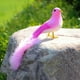 thumbnail image 4 of Pájaro de cola larga con plumas artificiales, pájaro fénix colorido, hermoso accesorio de fotografía para decoración, manualidades para el hogar y la sala de estar, 4 of 5