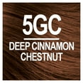 thumbnail image 2 of Naturtint 5GC Deep Cinnamon Chestnut Permanent Hair Color, 1 Pack (Packaging May Vary), 2 of 7