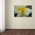 thumbnail image 3 of Trademark Fine Art "Sparkling Truth" Canvas Art by Monica Fleet, 3 of 3