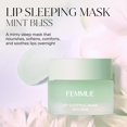 thumbnail image 2 of Bálsamo Labial FEMMUE Mint Bliss Hidratante Nocturno, 2 of 8