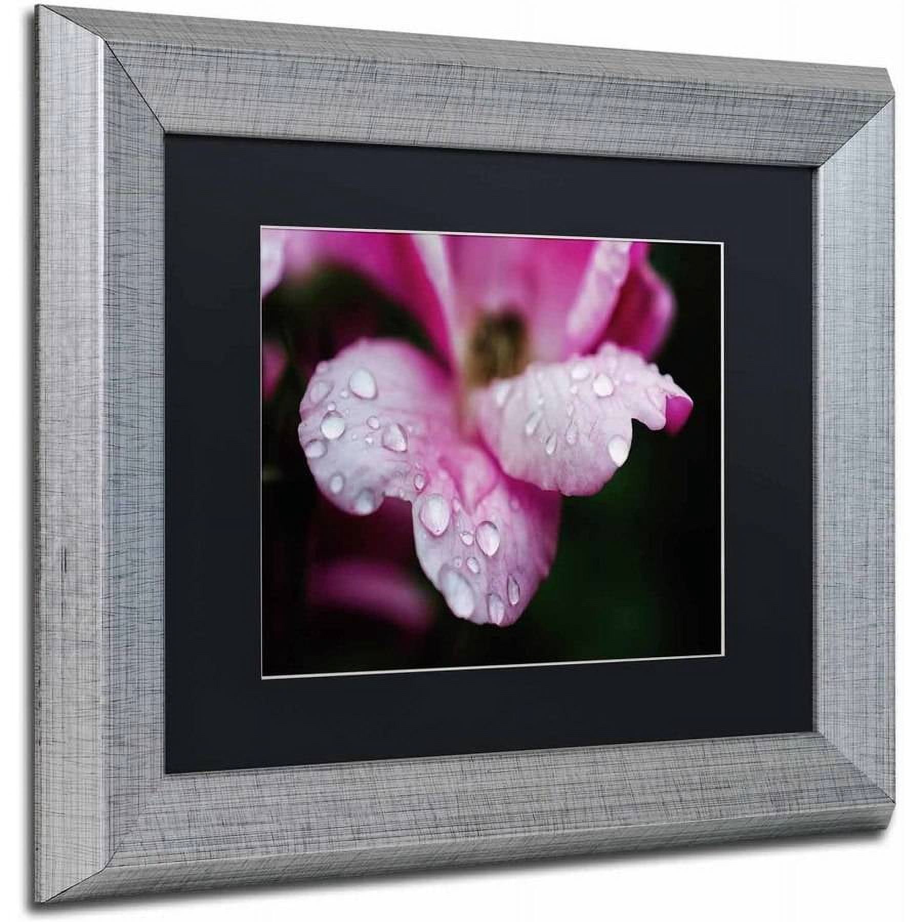 Trademark Fine Art 'Raindrops on Wild Rose Color' Canvas Art by PIPA Fine Art, Black Matte, Silver Frame