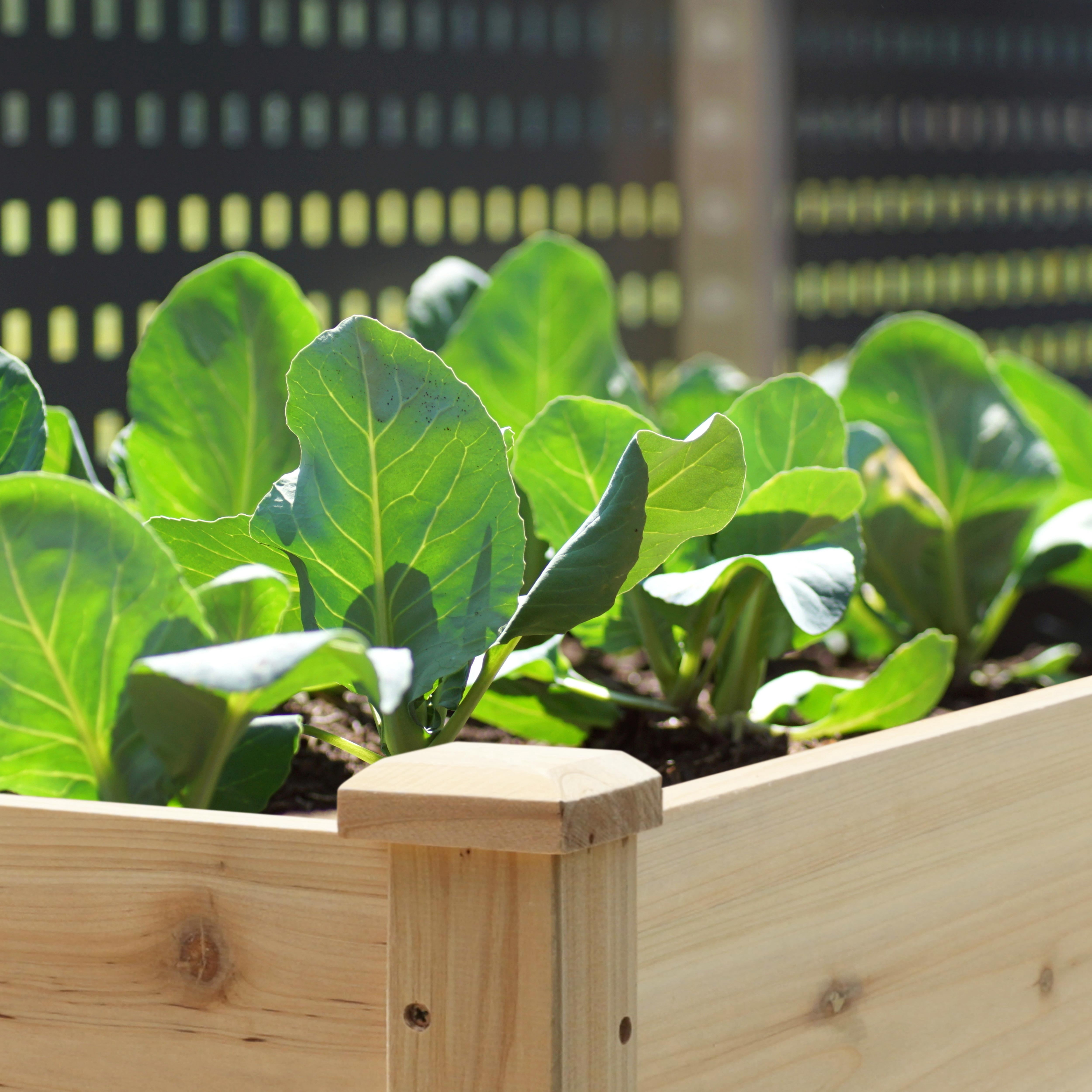 VEIKOUS 72.4"H Wooden Raised Garden Bed, 6.8 Cu Ft Capacity Elevated Planter Box w/ Drainage Holes for Vegetables, Flowers, Herb, Natural
